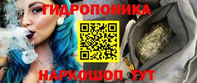 шишки Конаково