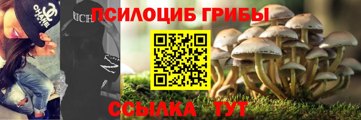 Галлюциногенные грибы MAGIC MUSHROOMS Клинцы